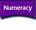 numeracy skills builder